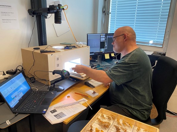 Sommerfugle bliver digitaliseret